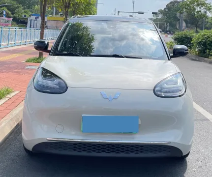 2023 WuLing BinGuo BEV 31.9KWH,autocango,china used car exporter,china ev exporter,chinese used car exporter,chinese used ev exporter