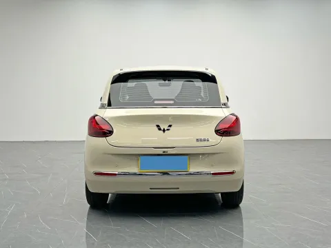 2025 WuLing BinGuo BEV