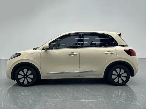 2025 WuLing BinGuo BEV