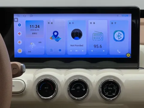 2025 WuLing BinGuo BEV