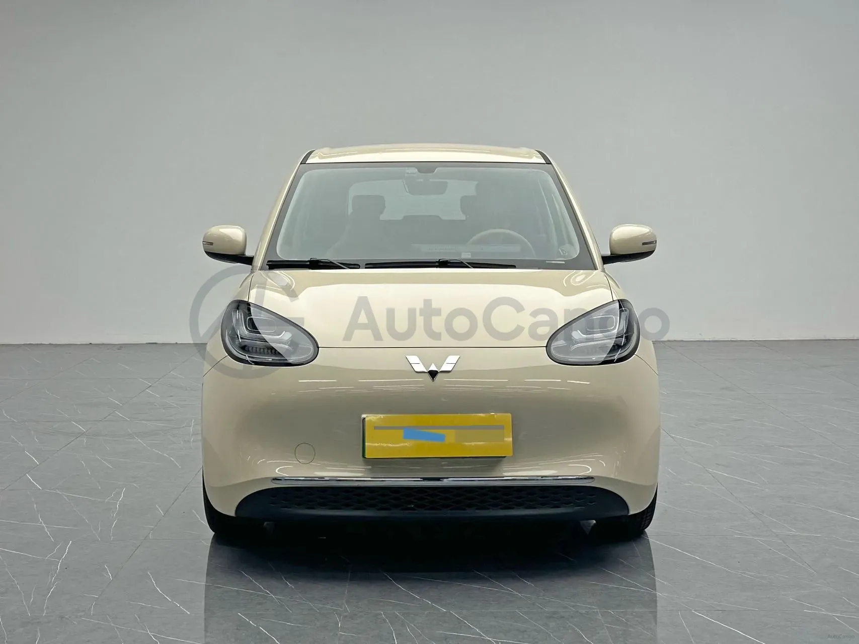 2025 WuLing BinGuo BEV,autocango,china used car exporter,china ev exporter,chinese used car exporter,chinese used ev exporter