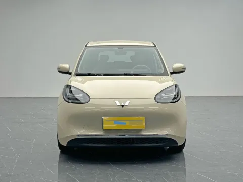 2025 WuLing BinGuo BEV
