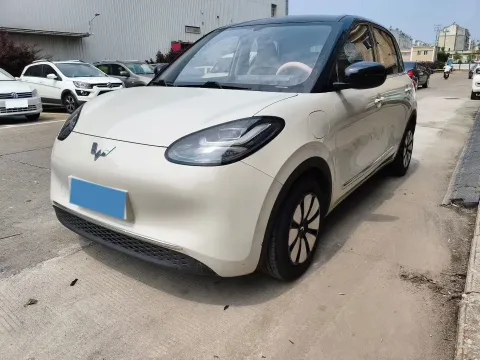 2024 WULING BINGUO,autocango,china used car exporter,china ev exporter,chinese used car exporter,chinese used ev exporter