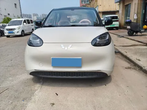 2024 WuLing BinGuo BEV 31.9KWH