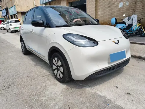 2024 WuLing BinGuo BEV 31.9KWH