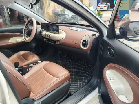 2024 WuLing BinGuo BEV 31.9KWH