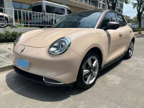 2021 ORA FUNKYCAT,autocango,china used car exporter,china ev exporter,chinese used car exporter,chinese used ev exporter