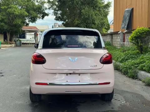 2023 WuLing BinGuo BEV 37.9KWH