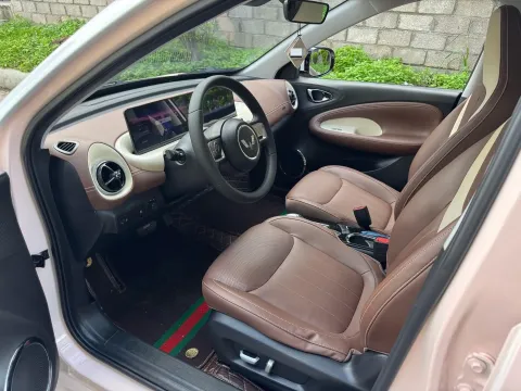 2023 WuLing BinGuo BEV 37.9KWH