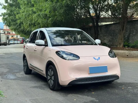 2023 WuLing BinGuo BEV 37.9KWH