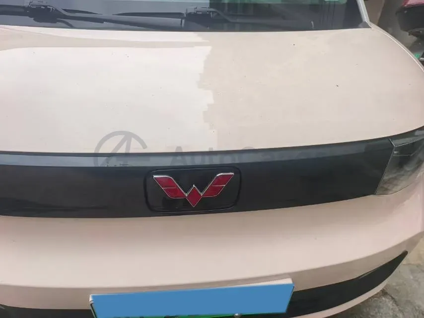 2022 WuLing HongGuang MINI EV BEV 9KWH,autocango,china used car exporter,china ev exporter,chinese used car exporter,chinese used ev exporter