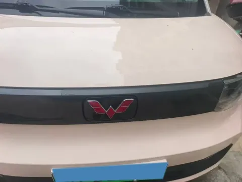 2022 WuLing HongGuang MINI EV BEV 9KWH