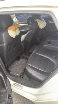 2018 MG MG6 1.5T 169HP L4 7DCT