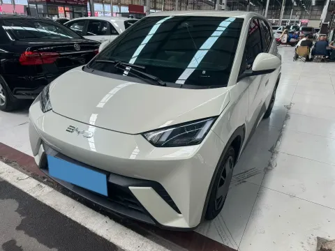2025 BYD SEAGULL,autocango,china used car exporter,china ev exporter,chinese used car exporter,chinese used ev exporter
