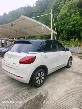 2023 WuLing BinGuo BEV 31.9KWH