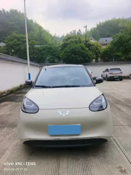 2023 WuLing BinGuo BEV 31.9KWH