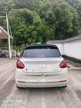 2023 WuLing BinGuo BEV 31.9KWH