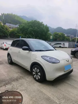 2023 WuLing BinGuo BEV 31.9KWH