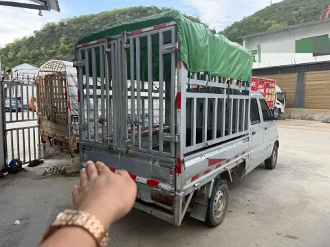 2021 WuLing RongGuang Mini Truck Special 1.5L 99HP L4 5MT