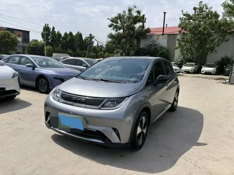 2023 BYD DOLPHIN,autocango,china used car exporter,china ev exporter,chinese used car exporter,chinese used ev exporter