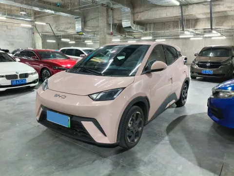 BYD