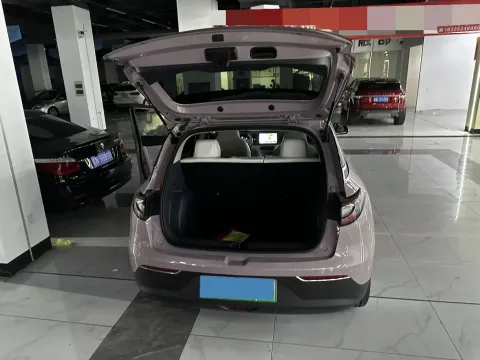2025 WuLing BinGuo S BEV