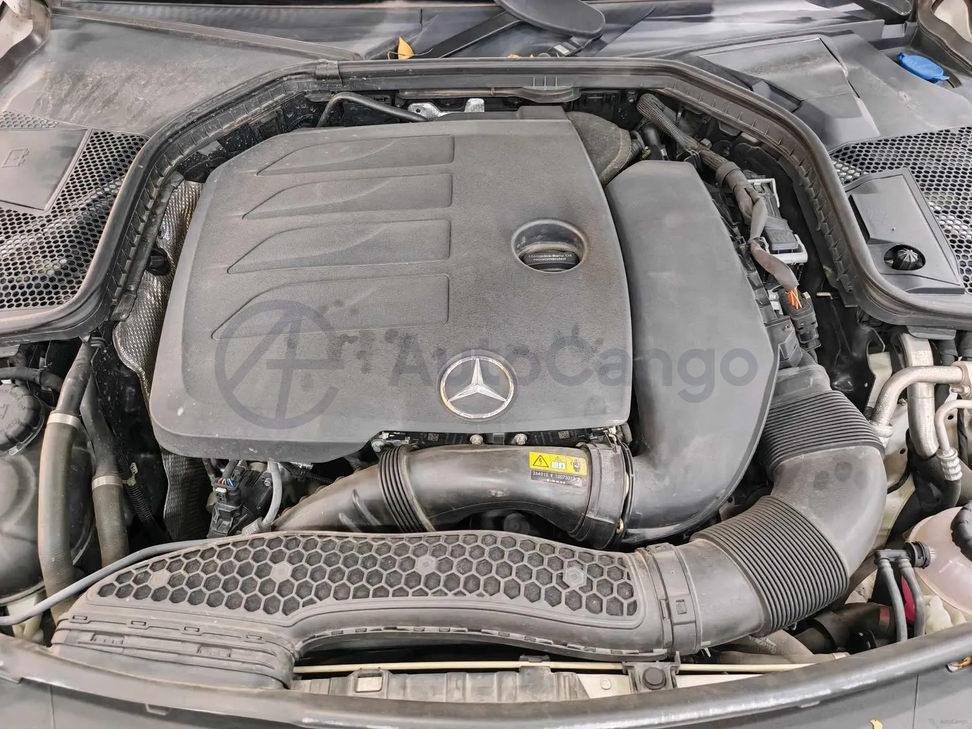 2019 Mercedes-Benz C Class 1.5T 184HP L4 9AT,autocango,china used car exporter,china ev exporter,chinese used car exporter,chinese used ev exporter