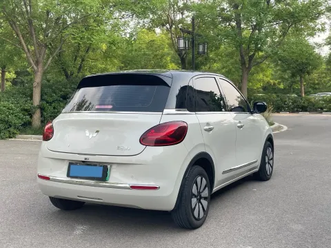 2024 WuLing BinGuo BEV 31.9KWH
