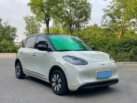 2024 WuLing BinGuo BEV 31.9KWH