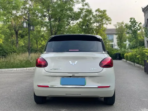 2024 WuLing BinGuo BEV 31.9KWH