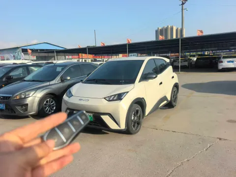 2023 BYD SEAGULL,autocango,china used car exporter,china ev exporter,chinese used car exporter,chinese used ev exporter