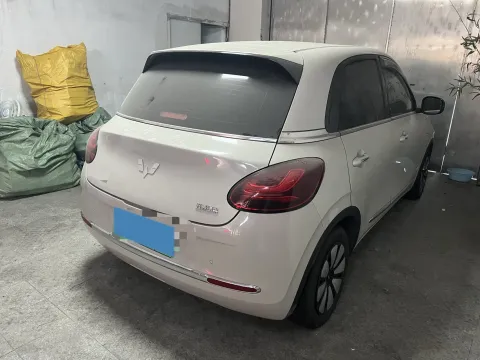 2023 WuLing BinGuo BEV 17.3KWH