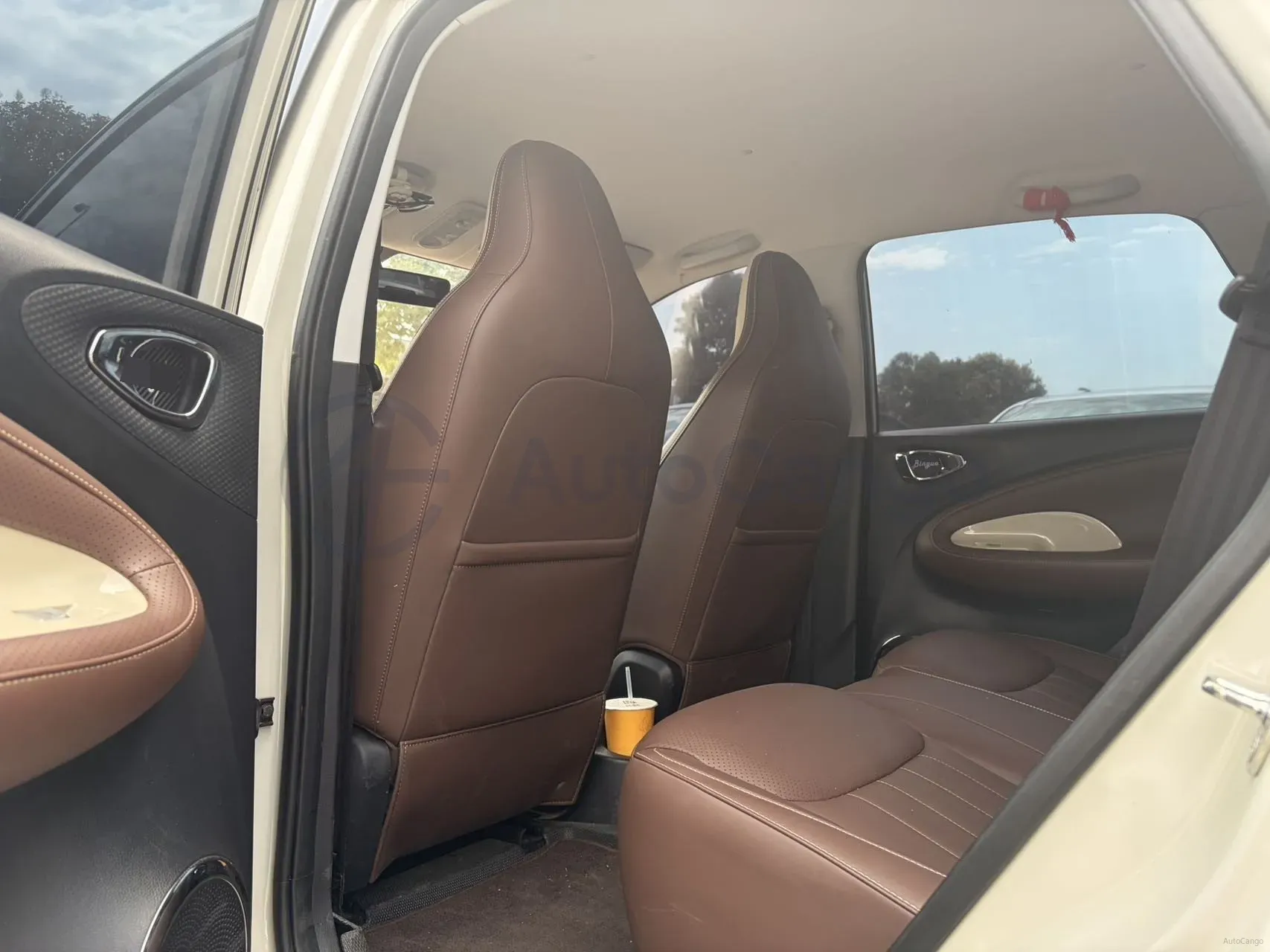 2024 WuLing BinGuo BEV 31.9KWH,autocango,china used car exporter,china ev exporter,chinese used car exporter,chinese used ev exporter