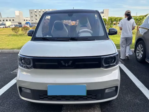 2020 WuLing HongGuang MINI EV BEV 13.8KWH