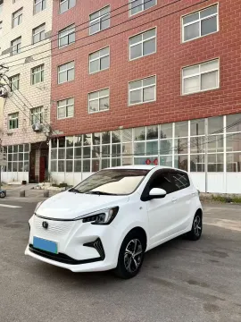 2022 CHANGAN BENBEN E-STAR,autocango,china used car exporter,china ev exporter,chinese used car exporter,chinese used ev exporter
