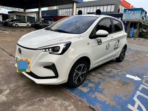 2021 CHANGAN BENBEN E-STAR,autocango,china used car exporter,china ev exporter,chinese used car exporter,chinese used ev exporter