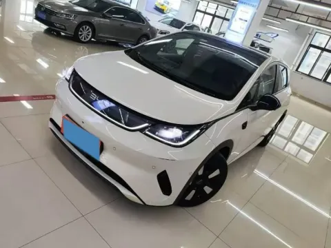2025 BYD DOLPHIN,autocango,china used car exporter,china ev exporter,chinese used car exporter,chinese used ev exporter