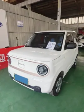 2024 GEELY GALAXY PANDA,autocango,china used car exporter,china ev exporter,chinese used car exporter,chinese used ev exporter