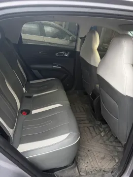 2025 WuLing BinGuo S BEV