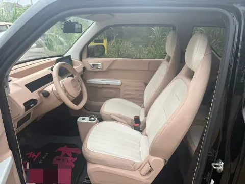 2024 Geely Galaxy Panda BEV 17.03KWH