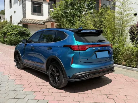 2021 Haval Rabbit 1.5T 184HP L4 7DCT