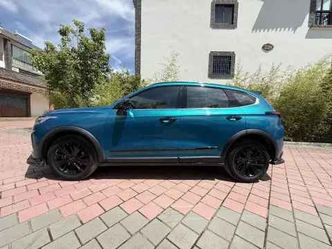 2021 Haval Rabbit 1.5T 184HP L4 7DCT