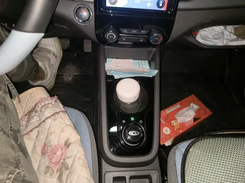 2022 CheryQQ Little Ant BEV 30.7KWH