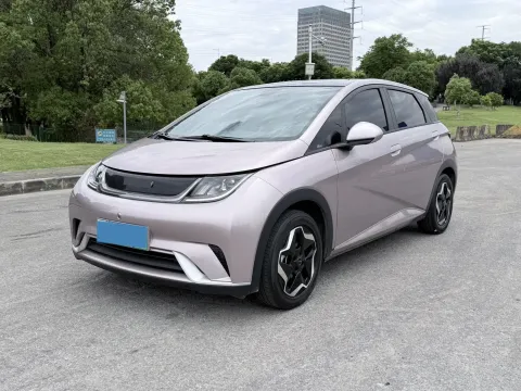 BYD