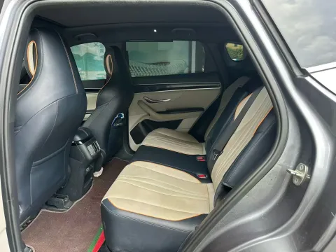 2021 SRM Sea Lion EV BEV 41.86KWH