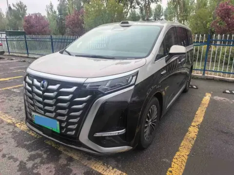 2025 DENZA D9,autocango,china used car exporter,china ev exporter,chinese used car exporter,chinese used ev exporter