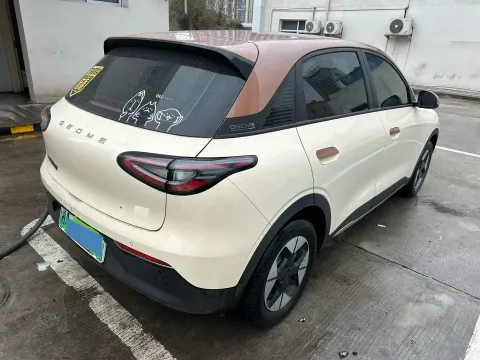 2025 WuLing YangGuang E Truck BEV 41.9KWH