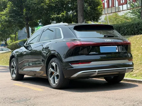 2021 Audi e-tron BEV 96.7KWH