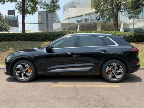 2021 Audi e-tron BEV 96.7KWH