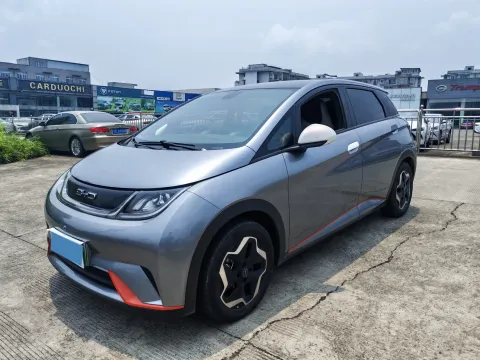 BYD